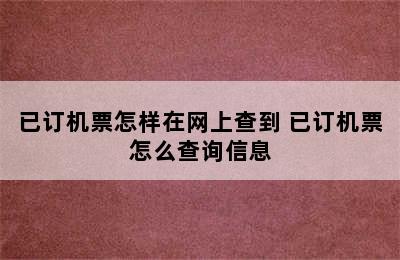 已订机票怎样在网上查到 已订机票怎么查询信息